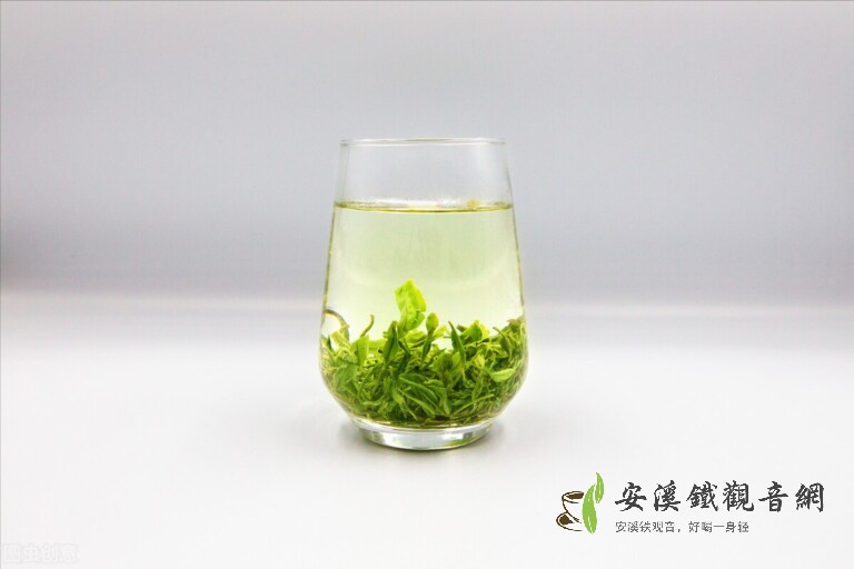 什么綠茶適合做口糧茶？口感好性價比高綠茶推薦