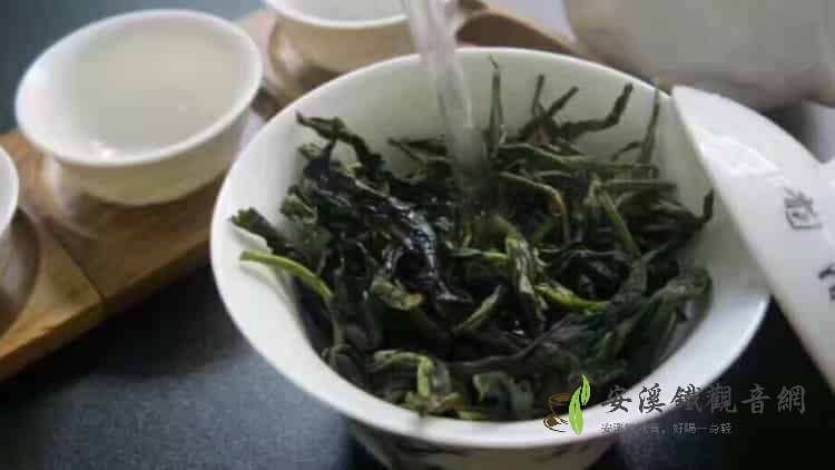 鴨屎香是什么茶？功效