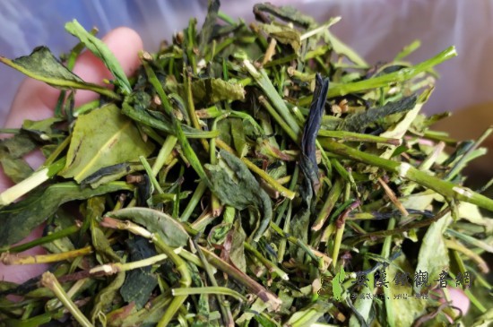 鴨屎香是什么茶？功效