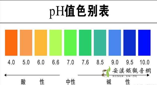 堿性茶葉有哪些？茶葉酸堿性對(duì)比