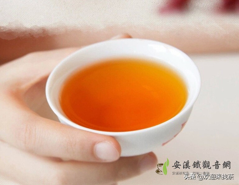 綠茶和紅茶可以一起泡著喝嗎？