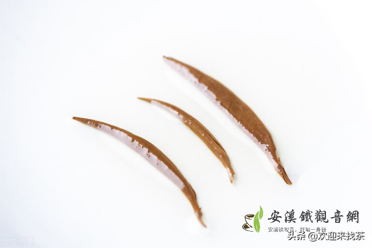 綠茶和紅茶可以一起泡著喝嗎？