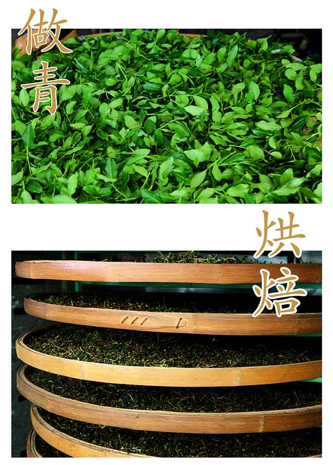 ￥128元/500克   特級2019新茶鐵觀音茶葉清香型禮盒裝500g