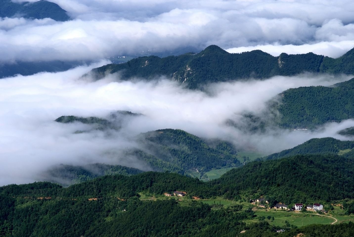 為什么說高山云霧出好茶